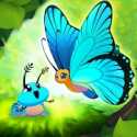 彩翼：蝴蝶保护区