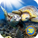 海龟模拟器3D