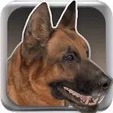 My Dog(狗模拟器)