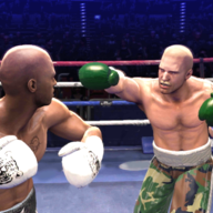 真实拳击对决