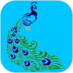 人类起源:刘兰芝