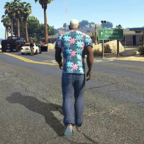 侠盗之城(辅助菜单)