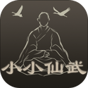 小小仙武