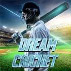 Dream Cricket 24印度谜语