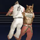 健美环格斗游戏