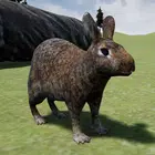 快乐兔子模拟器