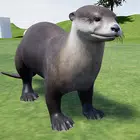 Otter Runner模拟器