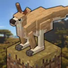 洛基克拉夫特时代