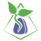 Magis-Riimulehto的故事