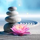 禅色：按数字着色