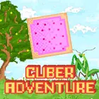 Cuber冒险