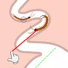 脑筋急转弯：帮帮我