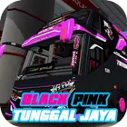 巴士低音TJ黑粉混音