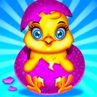 鸡肉护理和日托