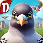 Pigeon Pop