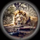 Hunting Games: 射击 真枪 動物 3d 射击类