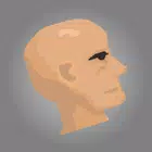 布娃娃精英：人体模拟