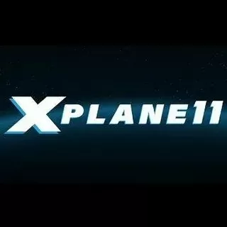 专业飞行模拟11