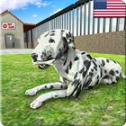 动物收容所狗模拟器