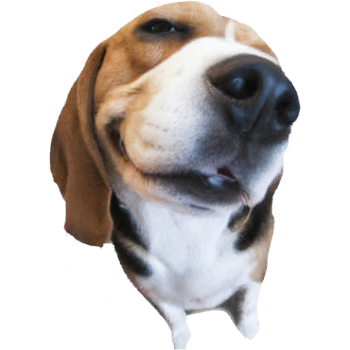 nextbots机器人追逐