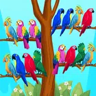 鸟排序离线拼图