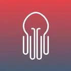 章鱼思维：大脑训练