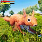 野生松鼠家庭模拟