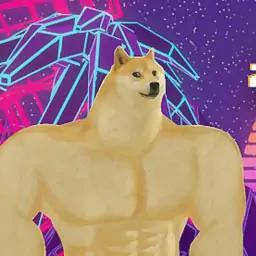 赛博doge：模因跑者