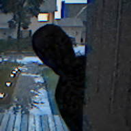 别给陌生人开门(鲤鱼Ace推荐)