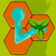 水连线：六边形拼图