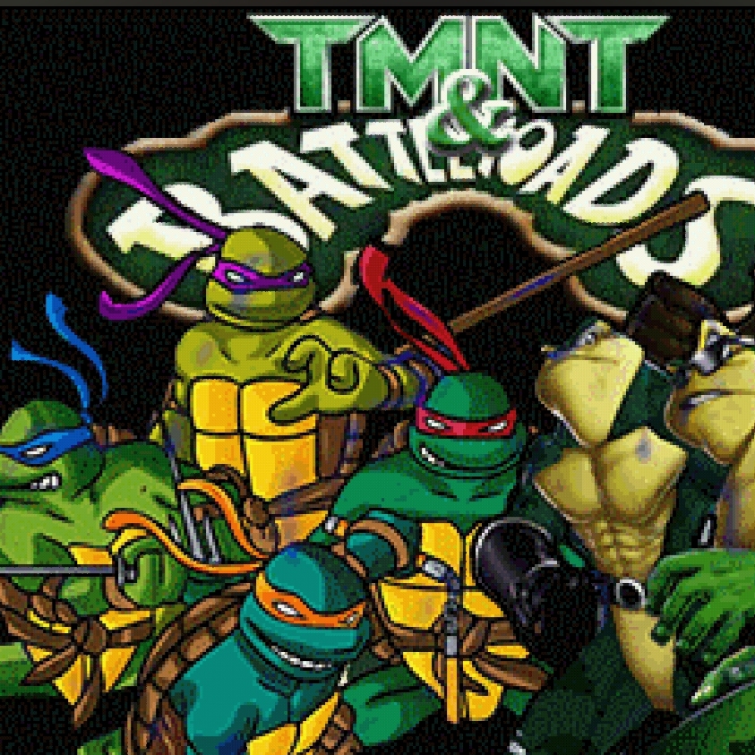 忍者神龟和忍者蛙