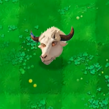 植物大战僵尸新指导版