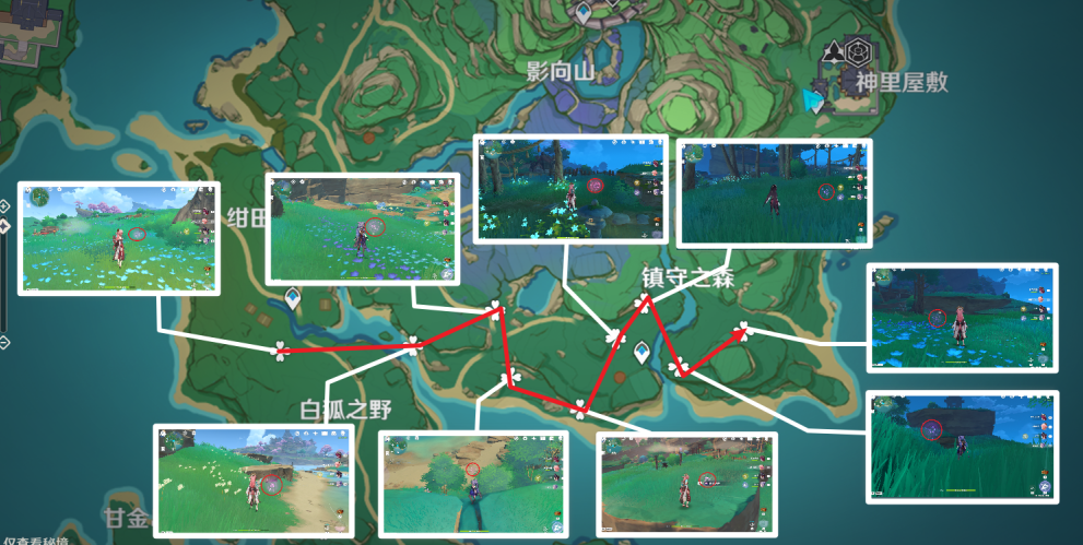 原神绯樱绣球怎么采集?