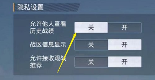 和平精英怎么关闭隐身设置？