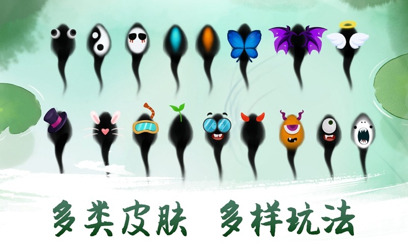 墨虾探蝌 墨虾探蝌