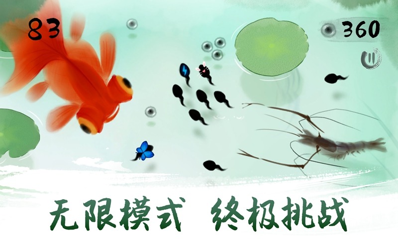 墨虾探蝌 墨虾探蝌