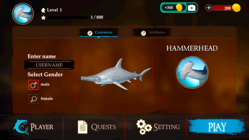 锤头鲨猎杀 锤头鲨猎杀