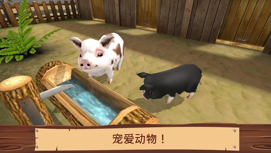 宠物世界：我的动物救援