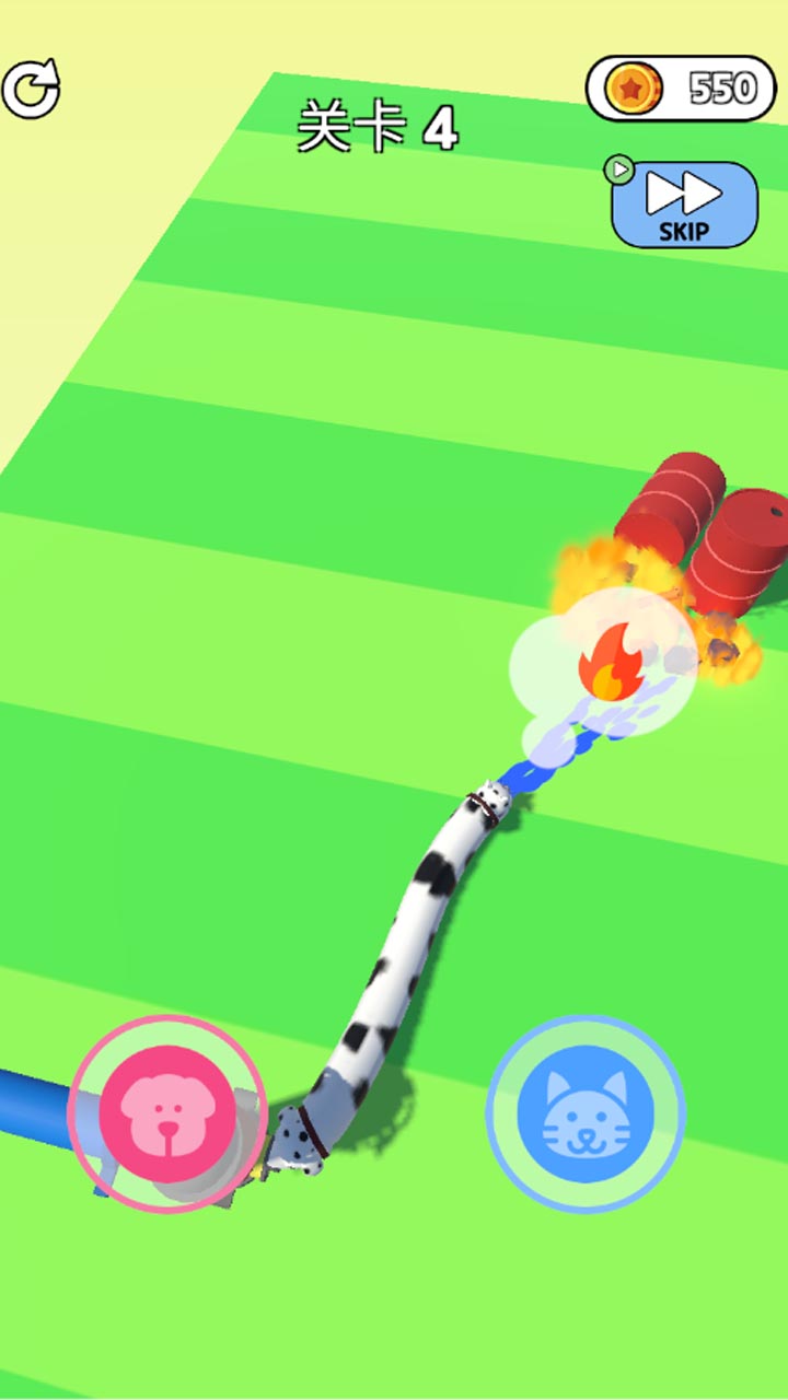 阿猫阿狗大挑战