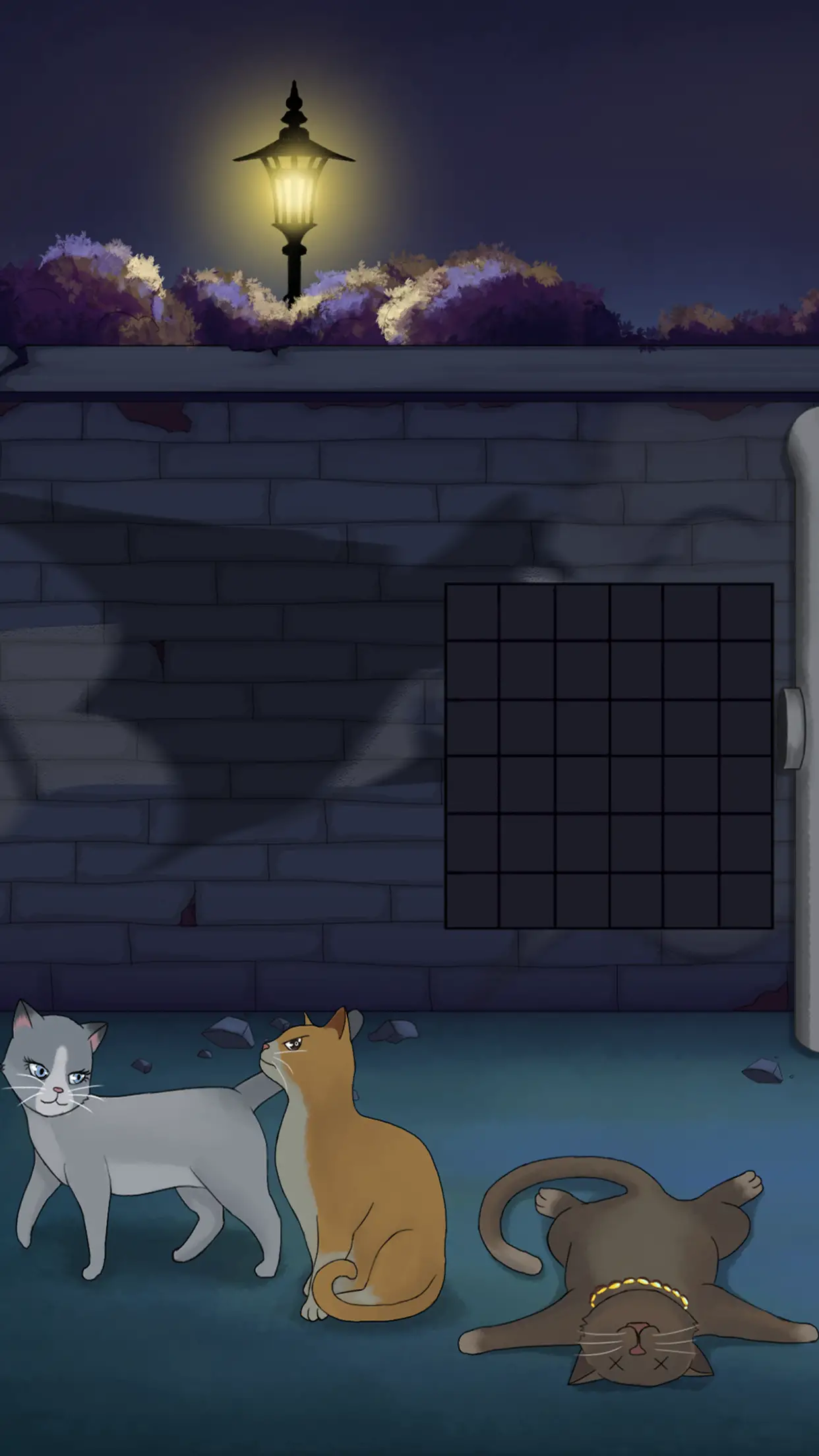 流浪的橘猫侠 流浪的橘猫侠