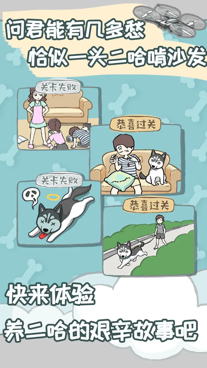 养只二哈不容易 养只二哈不容易