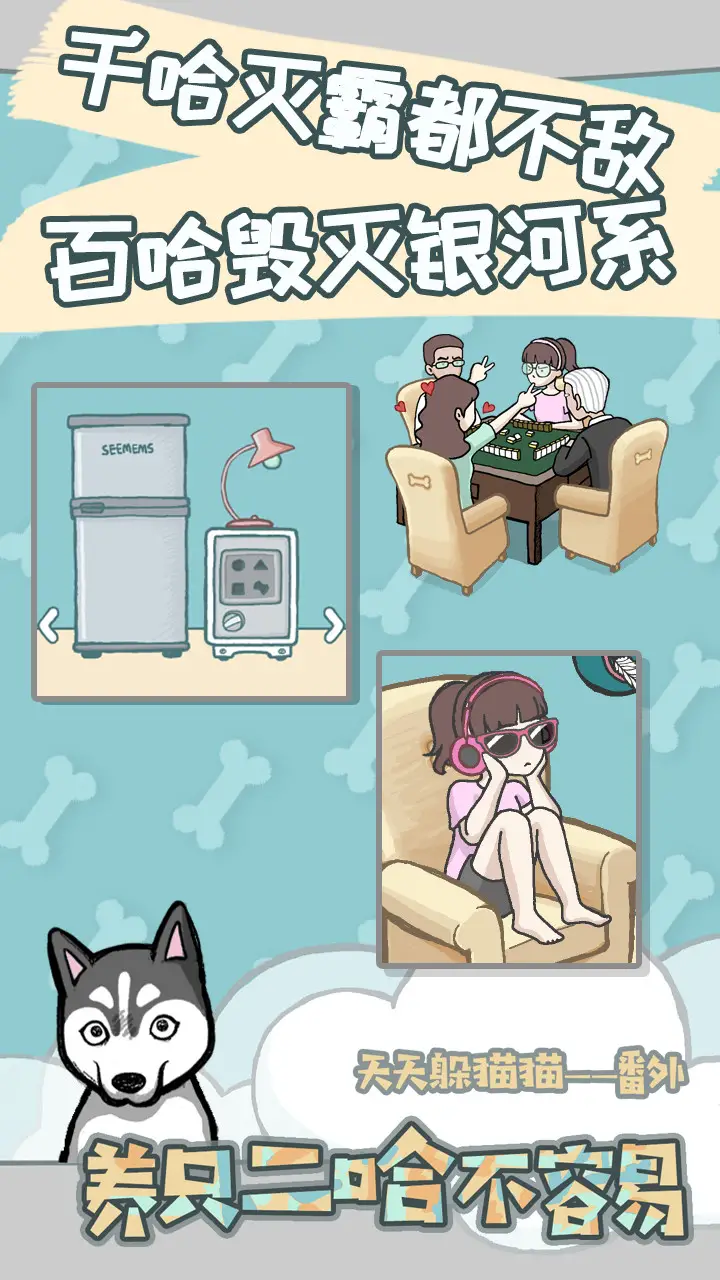 养只二哈不容易 养只二哈不容易