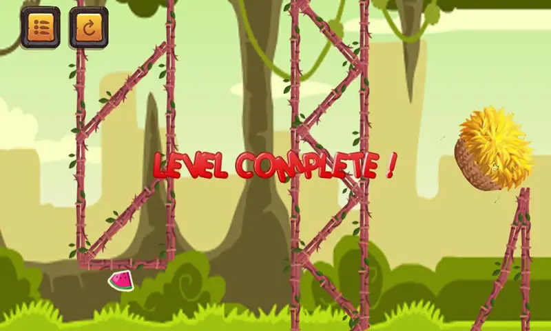 送流浪小鸟回家