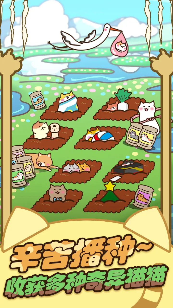 猫咪田园 猫咪田园