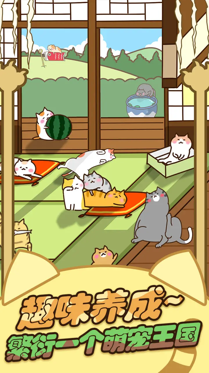 猫咪田园 猫咪田园