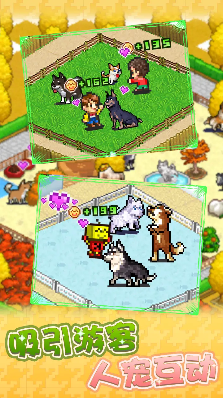 发现狗狗乐园 发现狗狗乐园