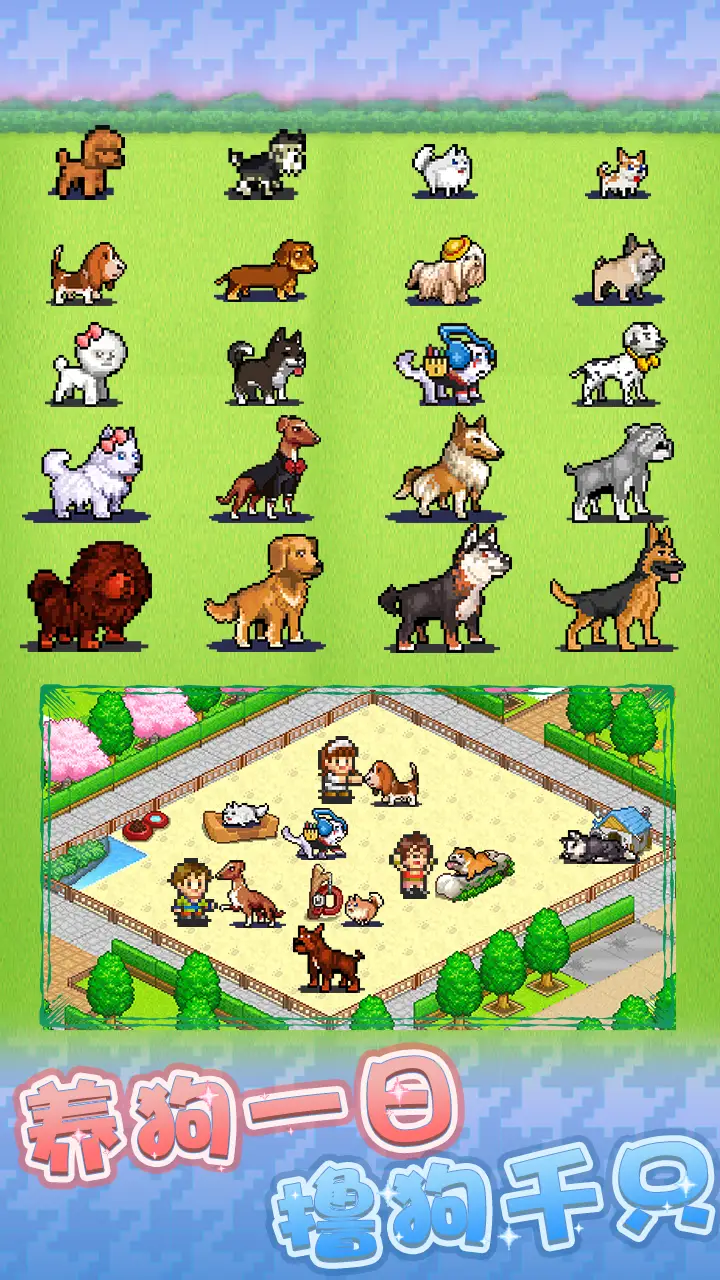 发现狗狗乐园 发现狗狗乐园