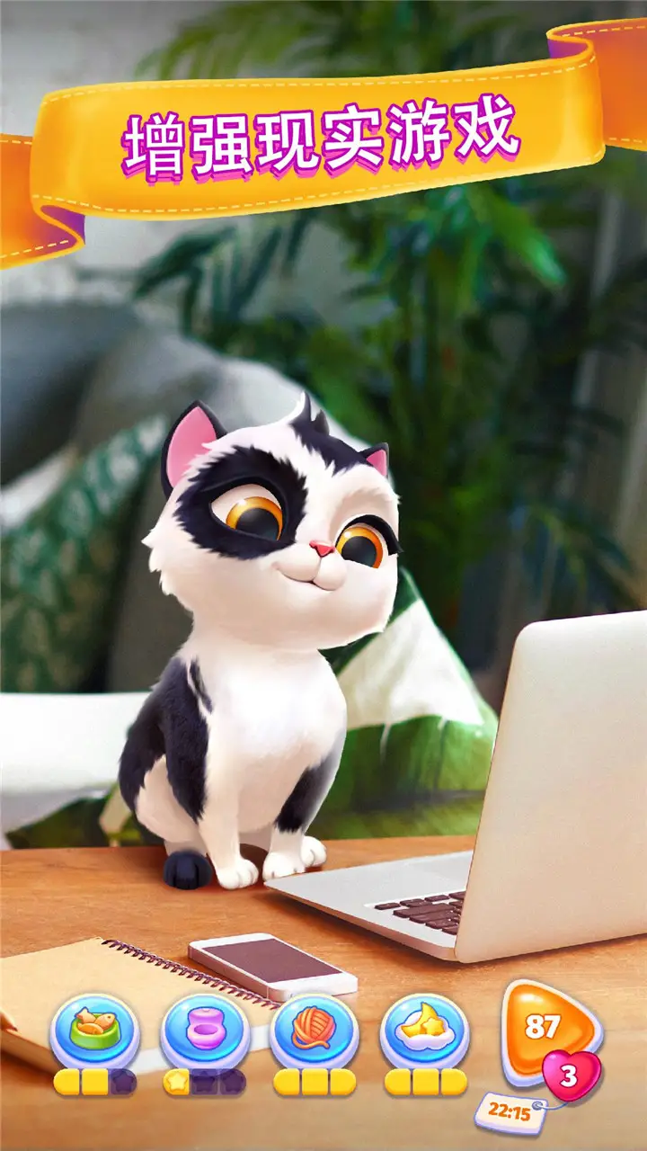 我的猫咪 我的猫咪