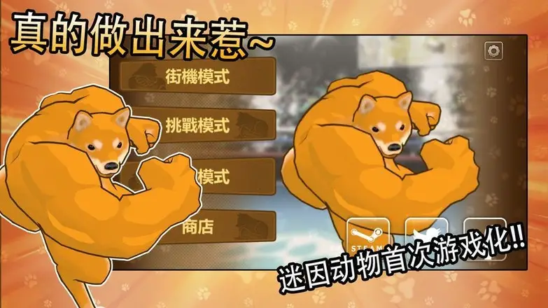 动物之战(抖音包包君推荐) 动物之战(抖音包包君推荐)