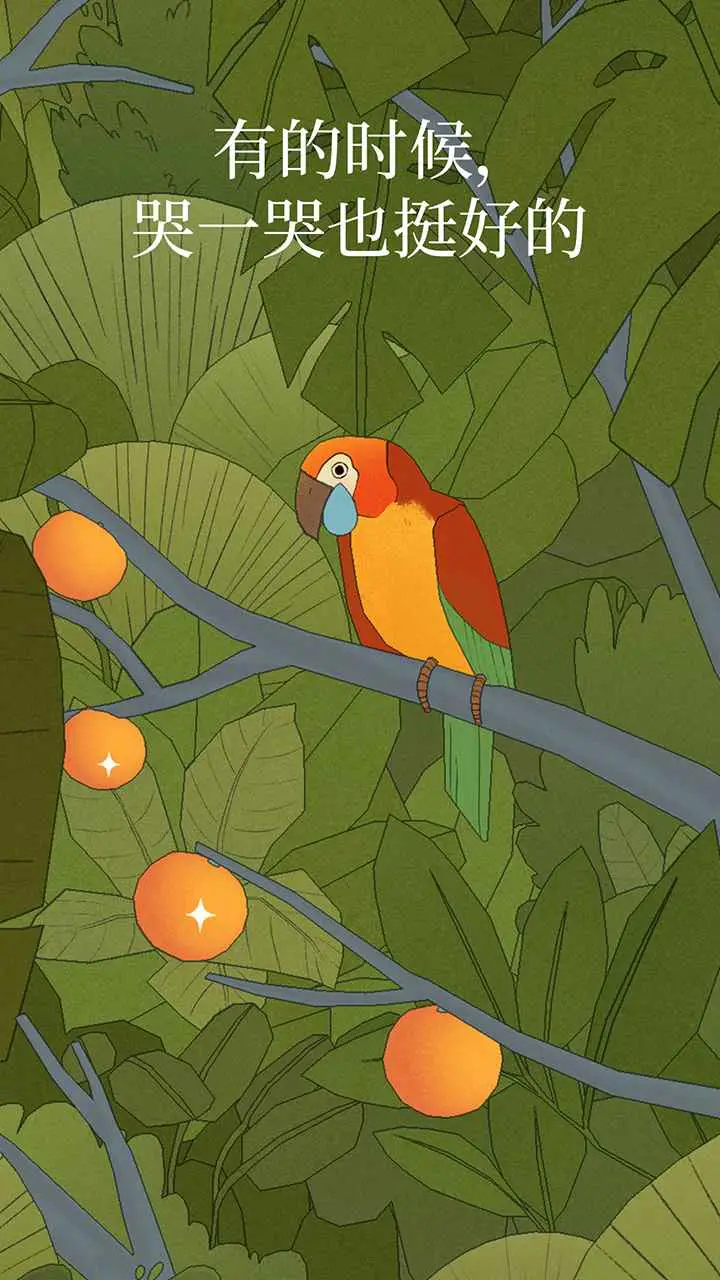 孤独的鸟儿(国际服)